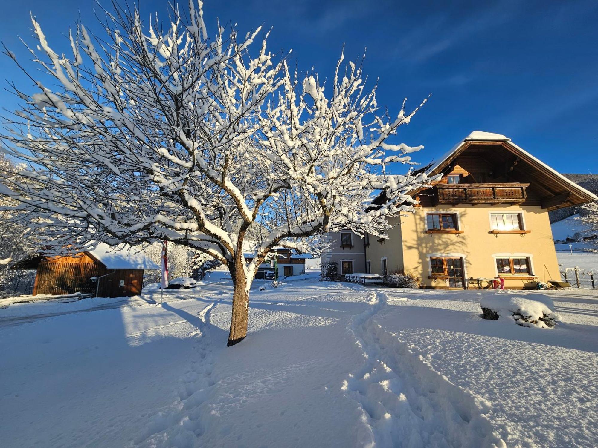 Landhotel Lacknerhof Mariapfarr Bagian luar foto