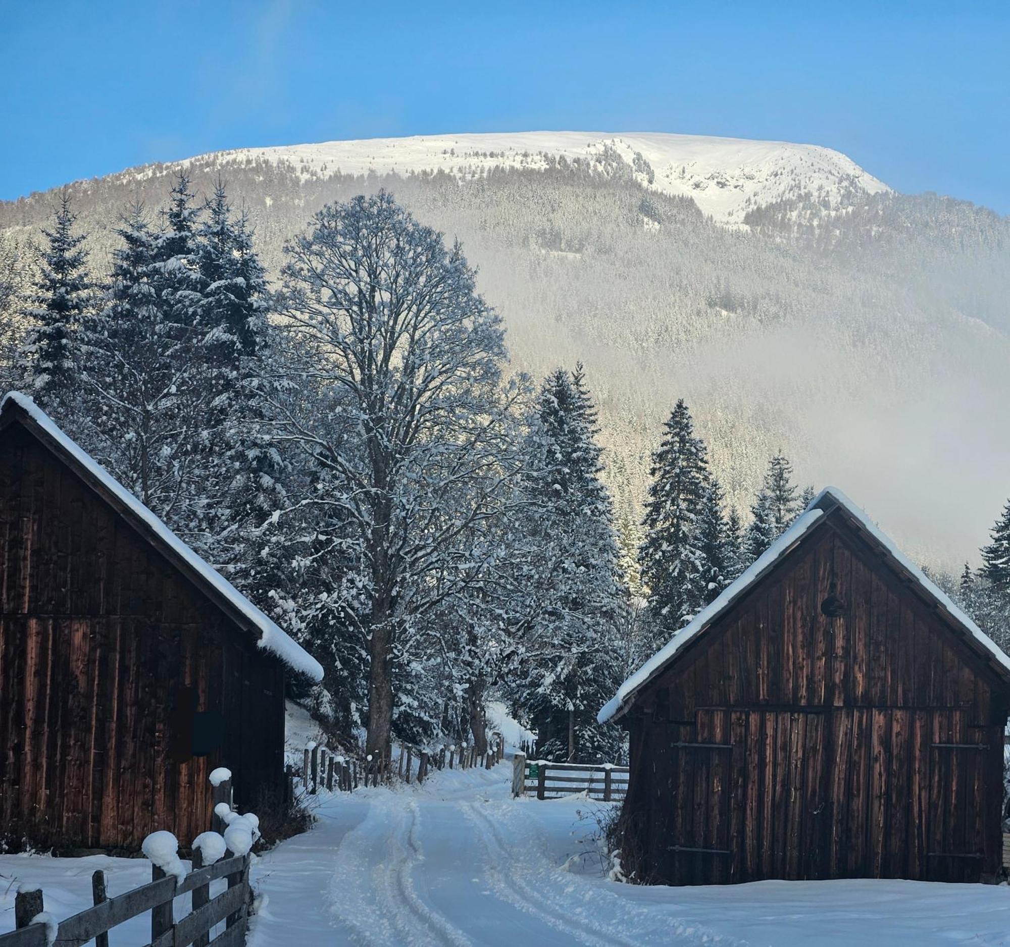 Landhotel Lacknerhof Mariapfarr Bagian luar foto